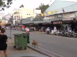 Pattaya plaja rutier tailanda