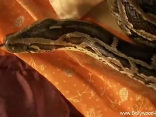 Bollywood nagość: drobne córka dokuczanie z wąż bollywood styl