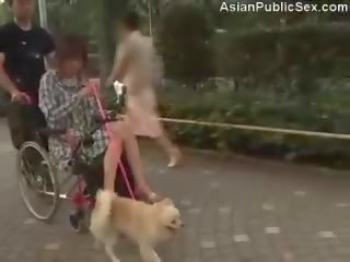 Orgazm wheelchair dildo w publiczne